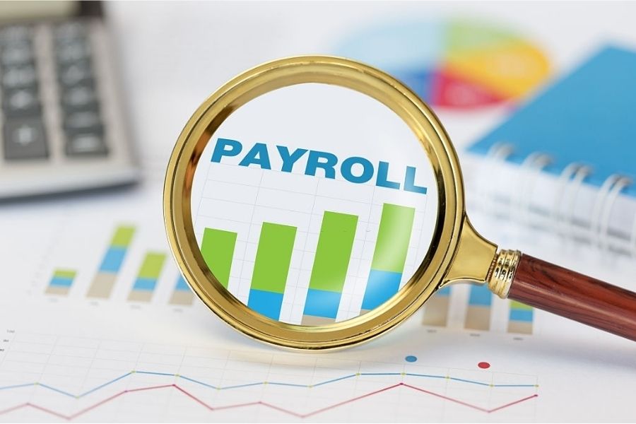 Importance of Automated Payroll System for HR Departments